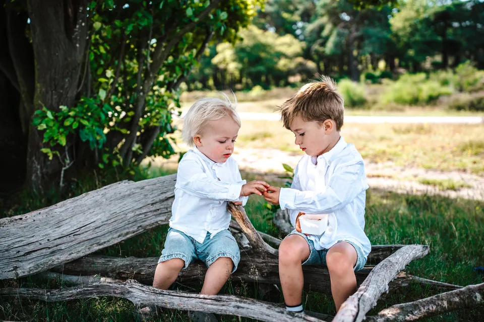 Twee broertjes zitten samen op een boomstam