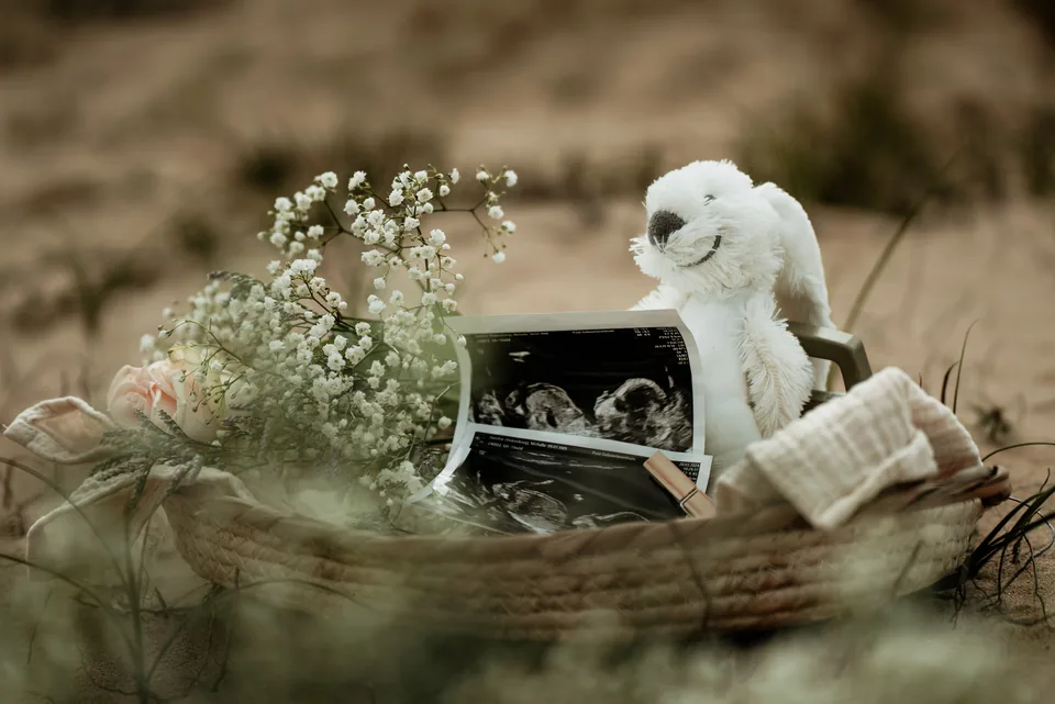 Echofoto en knuffel in een rieten mandje met bloemen